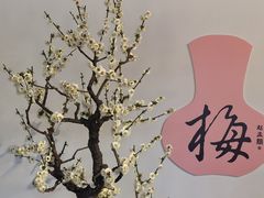-颐和园