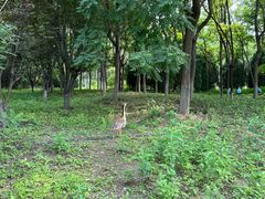 -翠湖国家城市湿地公园