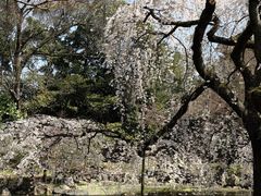 -京都御所