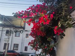 -霖公馆SPA·足道(普善路店)