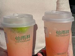 -仙雨林·奶茶鲜果茶(书院巷店)