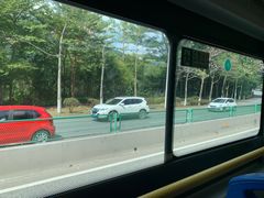 -广州市流溪河国家森林公园