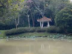 -火炉山森林公园