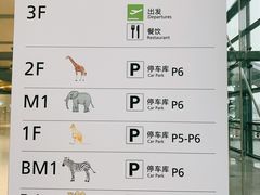 -虹桥综合交通枢纽-P6停车库