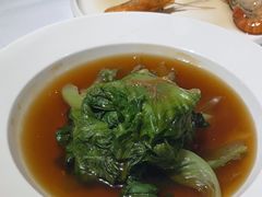 -圆苑(金茂店)