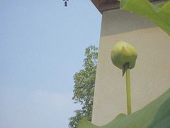 -宝光寺