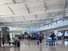 -纽瓦克自由国际机场