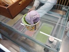 -苏州金鸡湖文博诺富特酒店