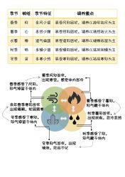 -慈蕊美容养生·专业经络调理