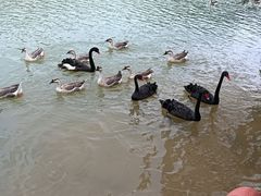 -广州白江湖森林公园