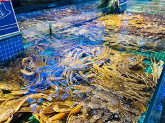 -驻海渔市(置信店)