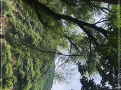 -秦岭终南山世界地质公园翠华山景区