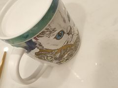 卡布奇诺-飞行喵MR PILOT|猫舍·猫咖(静安大融城店)