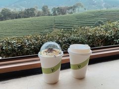 -白茶原·一片叶子