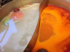 红白鸳鸯锅-小龙坎老火锅(北京三里屯店)