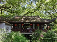 -上海醉白池公园