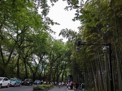 -杭州植物园