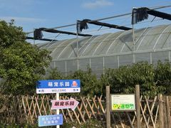 -乌村