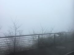 -娄山关景区