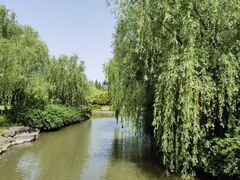 -上海滨江森林公园