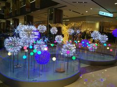 -远洋未来广场(育慧北路店)