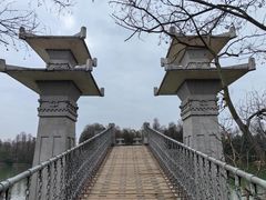 -东湖落雁景区