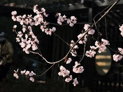 -三里河公园