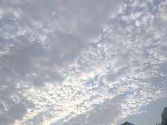-叶老师古筝工作室(杨公桥店)