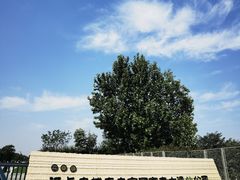 -汉长安城未央宫国家考古遗址公园