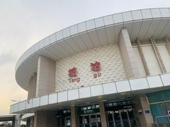 -塘沽站