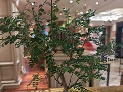 -妈妈菜舟山海鲜(定海古城店)