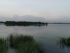 -丁香湖公园