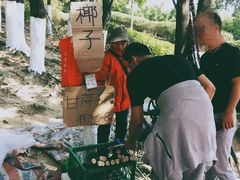 -火炉山森林公园
