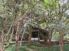 -石门洞景区
