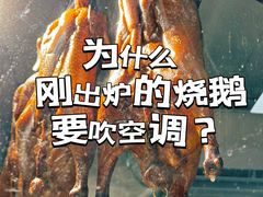 -烧鹅濑(西华路店)