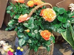 -循礼门鲜花花市(武汉循礼门店)