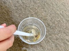 -嵊泗基湖沙滩