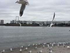 -台场海滨公园船码头