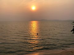 -卷心菜和避孕套餐厅(Pattaya)