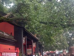 -成都武侯祠博物馆