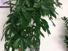 -张钰强中医正骨推拿连锁(唐家人才公寓店)