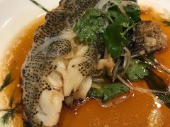 -证大喜玛拉雅中心