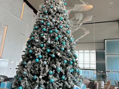 -观廊大堂吧(国际会展中心希尔顿酒店x冰雪世界店)