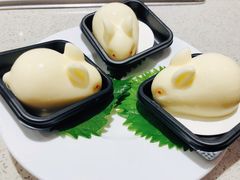 乳酸菌兔兔-海底捞火锅(奥体南路店)