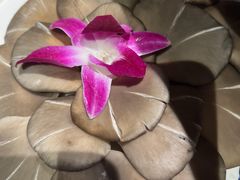 -南门四季铜锅涮肉(大屯·北苑店)