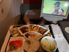 -海南海航航空信息系统公司