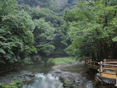 -关门山森林公园