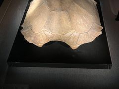 -金沙遗址博物馆