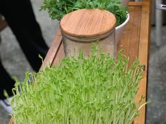 鲜豆苗-廣順興(明鸿路店)