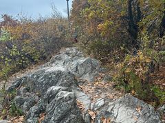 -帽儿山国家森林公园